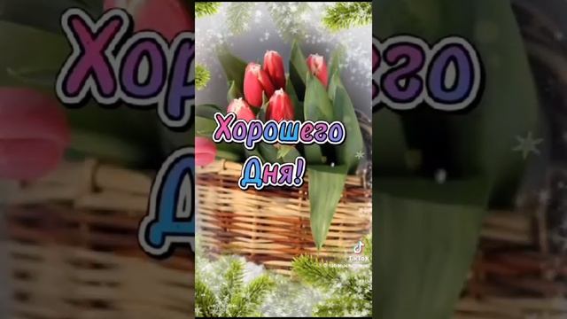 Февральский приветик от меня...