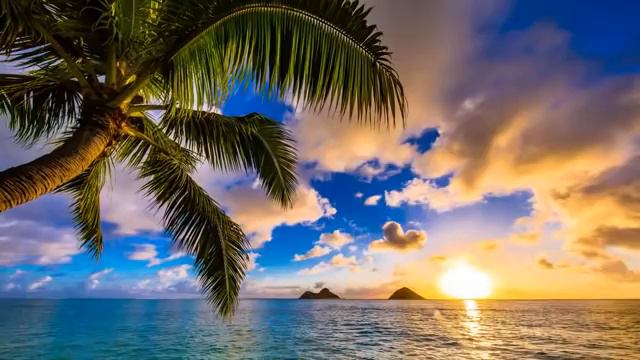 Happy UKULELE Music 10 Hours - Summer Ukulele Instrumental Background Cheerful, Joyful and Upbeat