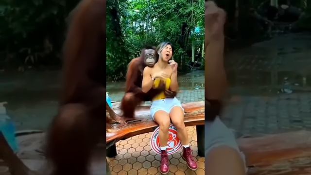 Чей Дон Жуан ?