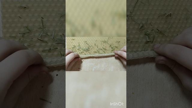 Природоведение 1 класс.  #окружающиймир1класс