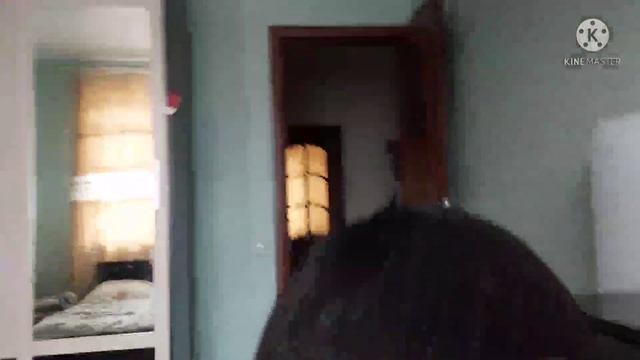 VLOG?: прогуливаем садик/сырный крем суп / приготовила роллы