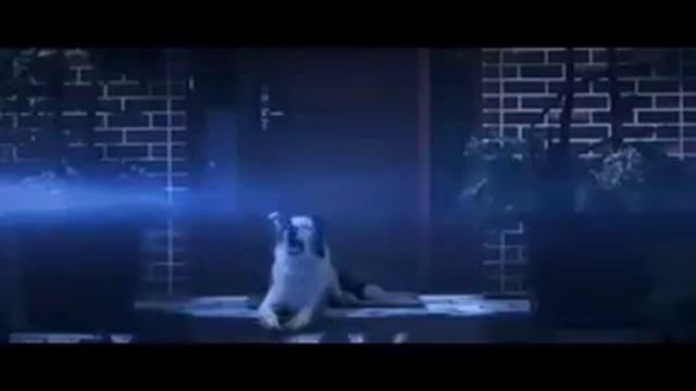 Mirt video Axira Geder baxin