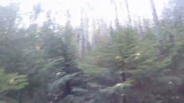 Первый зайчик в сезоне