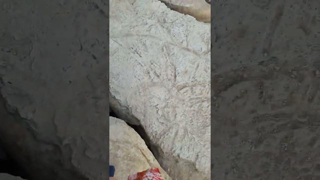 Настоящий Майнкрафт (2)