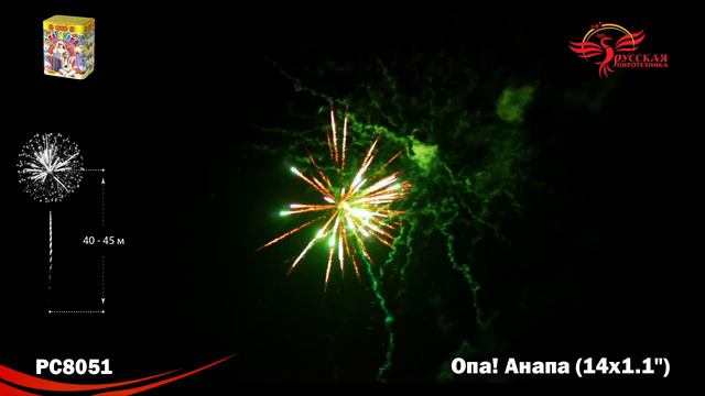 РС8051 Опа! Анапа!