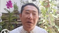 3 ERVAS NATURAIS UNIDAS CONTRA INFLAMAÇÕES | Peter Liu