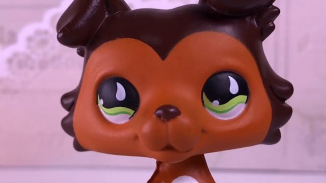 LPS: НОВЫЕ СТОЯЧКИ!? НОВЫЕ КОЛЛИ!? РАСПАКОВКА 4