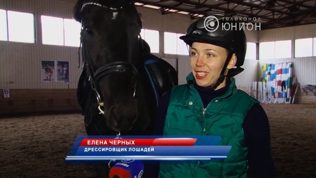 Каким будет год лошади?