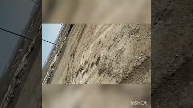 Колхоз СССР,как это было....(
