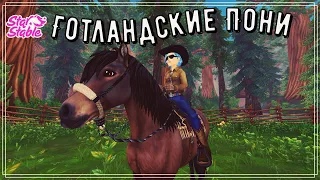 STAR STABLE ПОКУПКА ДВУХ ГОТЛАНДСКИХ ПОНИ