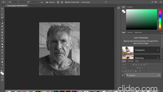 DEM Portrait Step 1