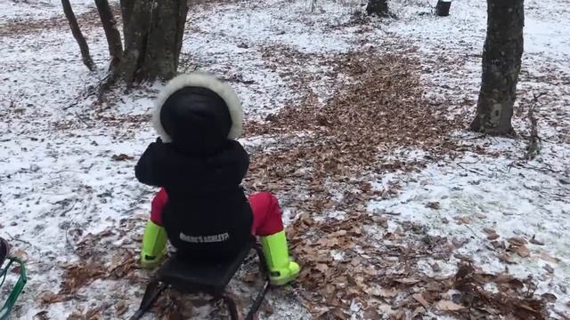 Крымская зима 2018