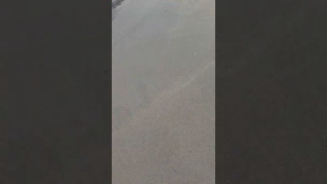 14 мая 2021 г.
