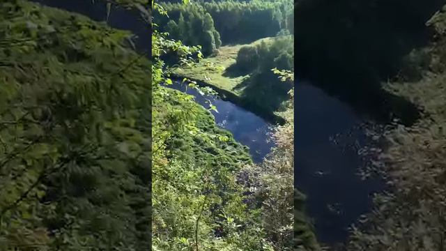 От такой тишины - оглохнуть можно!