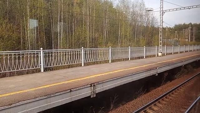 Конец апреля 2024 года, Ленинградская область, платформа Колтуши и окрестности станции Манушкино