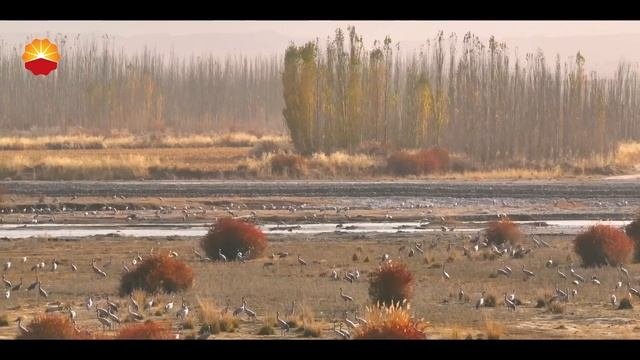 Газовое месторождение Божи-Дабэй
