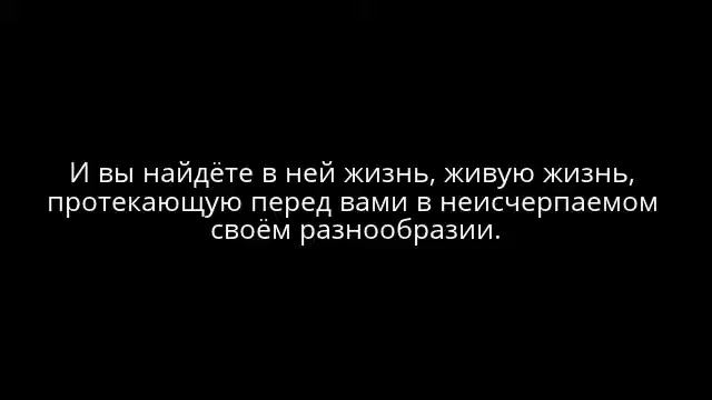 Книга Рея Брэдбери "451 градус по Фаренгейту"