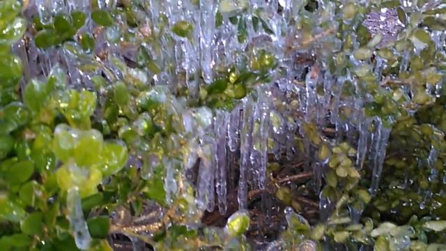 El lado hermoso del hielo negro, conocido como black ice.