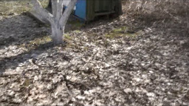 Небольшой Обзор Участка. (Пока не профессиональная сьемка. Но буду учиться снимать)