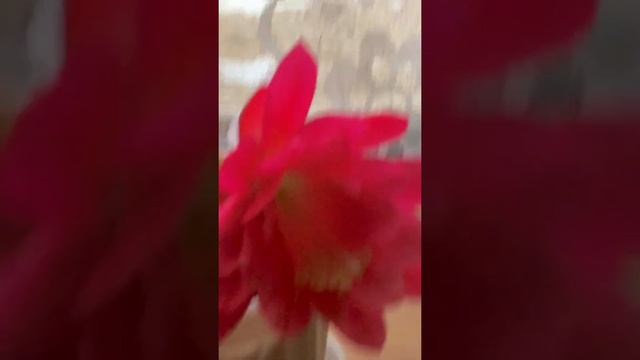 Да пребудет с Вами Господь - это и есть основное условие счастья!!! 🥰🔥❤️🙏🌹🌹🌹