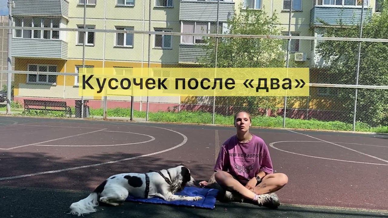 Учим команду 