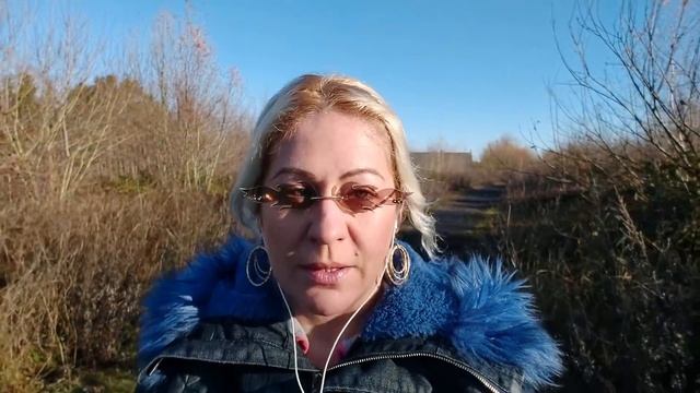 Сколько я заработала на ДИМАШЕ? Или тяжелый труд блогера...