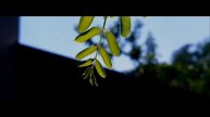 Canon 200D Mark II Cinematic Video | Camera Quality Test