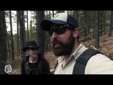 THE SEARCH FOR BIGFOOT CONTINUES...