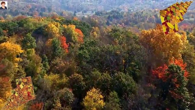 ПАДАЕТ ОСЕННЯЯ ЛИСТВА Fall foliage autumn foliage