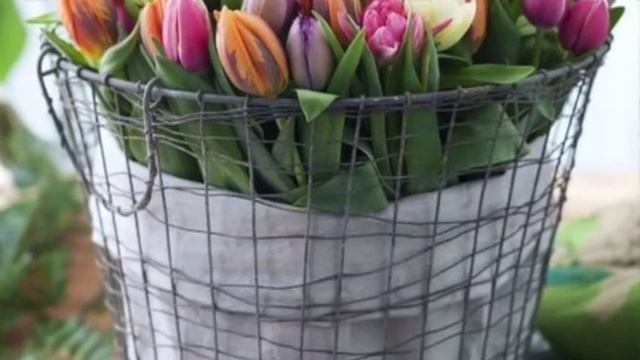 Fiori-nn.ru club