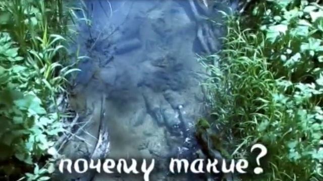 природа Родного края