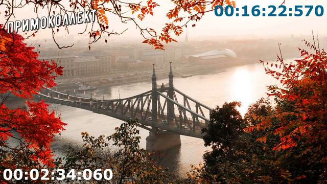 Коллекторы . МФО . Банки . Ярослава часть 5.
