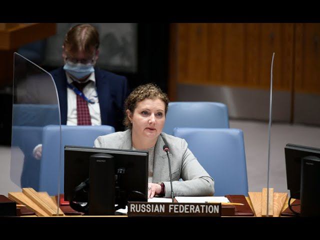 Statement by Deputy Permanent Representative Anna Evstigneeva at UNSC briefing on Central Africa