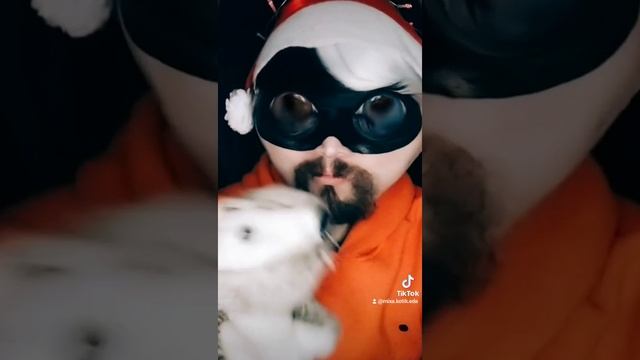 Инопланетяне спрашивают, что такое математика
