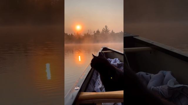 Утром на рыбалке