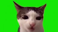 )