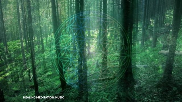 Shamanic Tribal Drumming Didgeridoo Hypnotic Meditation Music With Deep Humming  Jaw Harp