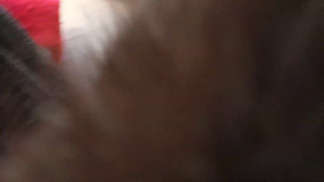 мама не любит своего сына почему????