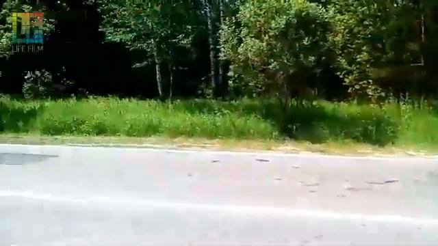 Забег Выкса Кулебаки