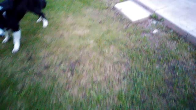 VID_20240809_204554.mp4