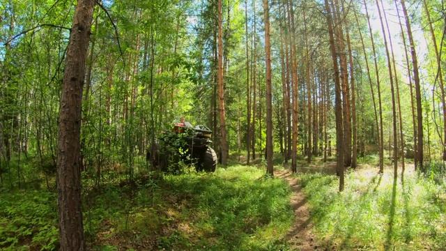 оз.Кумикуш. Пермский край