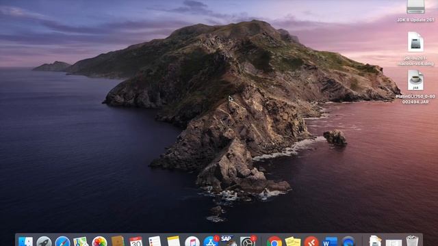 SAP on Mac I SAP GUI Download, Installation and Login on Mac I VoiSAP