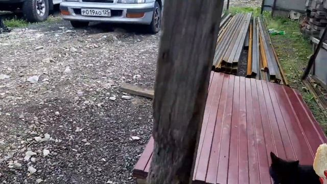 Куда съехать на время ремонта ? Строим навес.