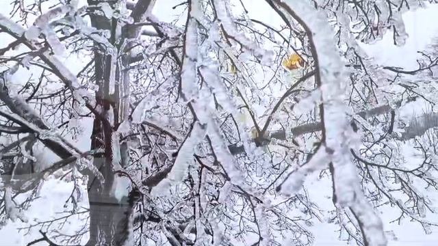 "Вальс Льдинок " композитор Эмилия Пермякова