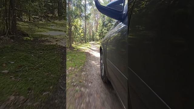 Путешествие на Гранте в лесу.
