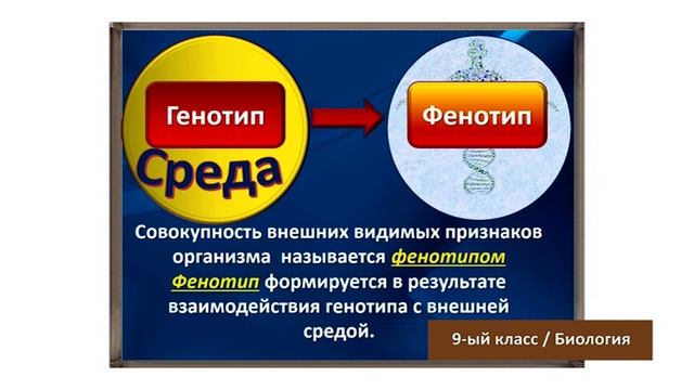 “Dərs vaxtı”: 9-cu sinif dərsləri ( rus bölməsi) (29.05.2020)