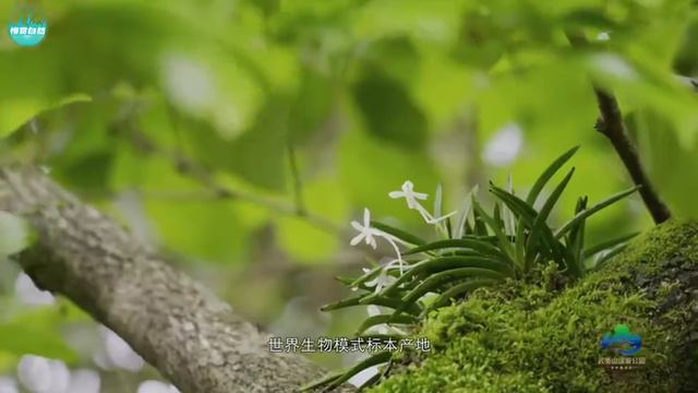 【Серия Национальных парков Китая】Введение China National Parks: Intro