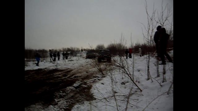 Бешеный лось 2014