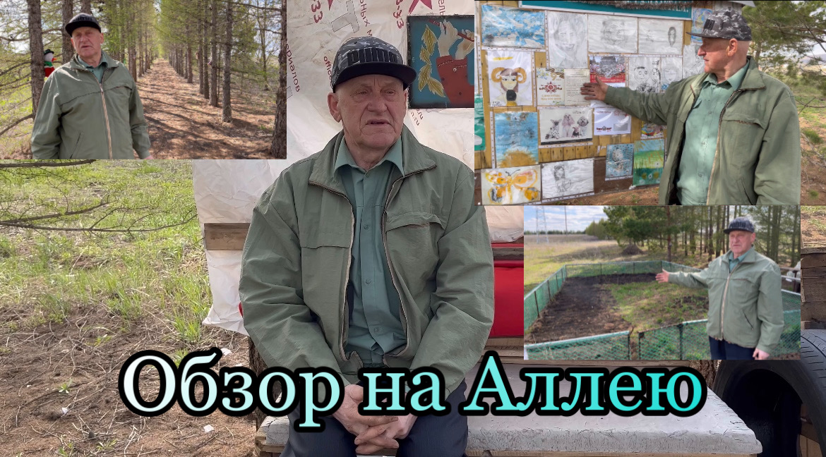 Влог 2 часть. Обзор на Аллею. Рафкат Бабай