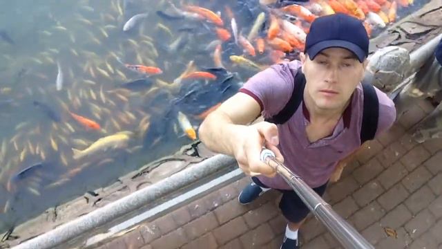 Отдых в Хайнане. У одного из прудов с рыбой/Карпы  #Санья #Хайнань #Hainan
